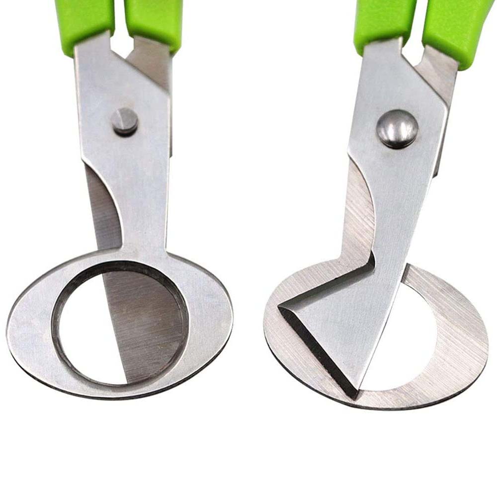 3 قطعة قاطع بيض السمان مقص الم - مراجعة Kitchen Shears In Baking وسعره